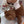 Load image into Gallery viewer, Beary Sweet Spa and Craft Experience