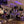 Load image into Gallery viewer, An Evening at Hogwarts