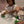 Load image into Gallery viewer, An Evening at Hogwarts