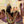 Load image into Gallery viewer, An Evening at Hogwarts