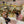 Load image into Gallery viewer, Glamping Tea Party