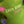 Load image into Gallery viewer, Little Artists Paint Party