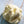 Load image into Gallery viewer, Ice Cream Parlour Party