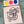 Load image into Gallery viewer, Paint Your Own Cookie