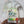 Load image into Gallery viewer, Paint Your Own Cookie