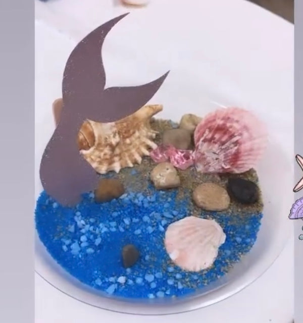 Under the Sea Adventure