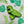 Load image into Gallery viewer, Dinosaur Bath Bomb