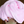 Load image into Gallery viewer, Cotton Candy Carnival Party